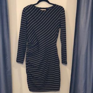 Body Con Banana Republic winter dress